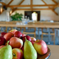 Die Beziehung zu dir – Dein Seminar-Wochenende für sichere Bindung und Selbstvertrauen | Luzerner See